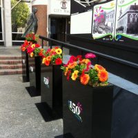 Planters with Logo added make a colourful pathway