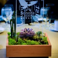Centerpieces incorporating logo and message