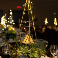 Mini tents with forest greens complete the starry night centerpiece